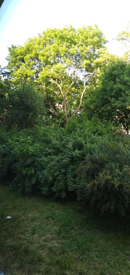 Zielony Apartament, Kielce, Targi, Centrum Eksteriør billede